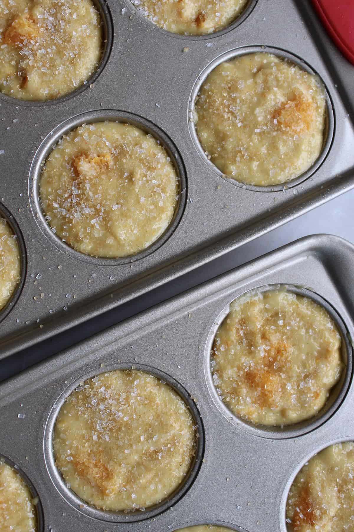 sparkly coarse sugar is sprinkled on top of the batter filled muffin tins